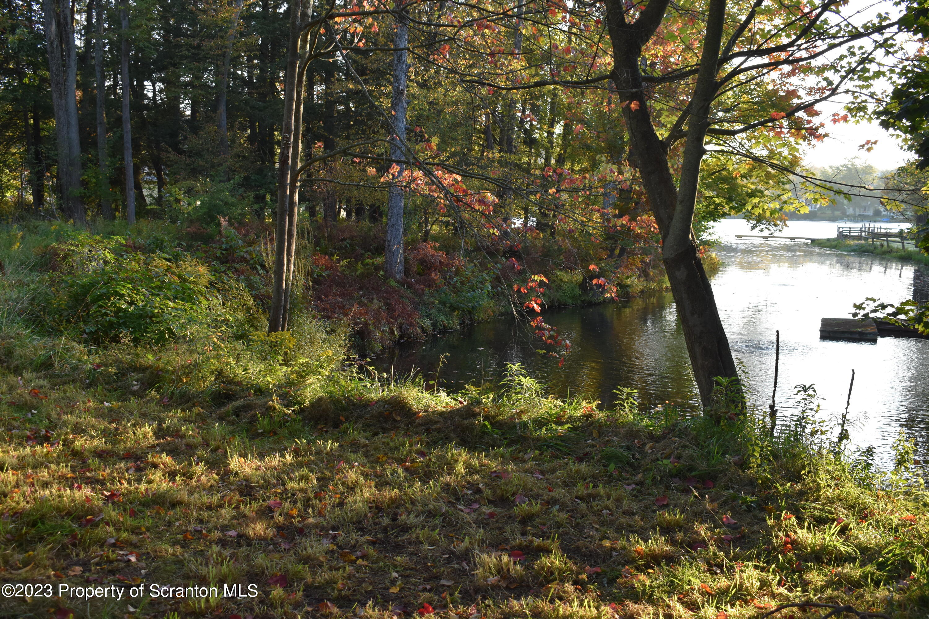 Lake Street Montrose, PA 18801 - Photo 19 of 24 a view of a yard