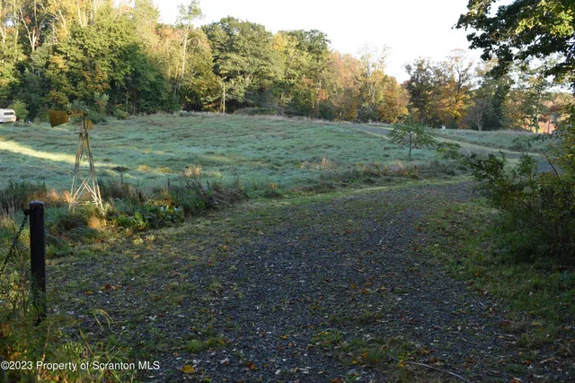 a view of a field of grass and trees