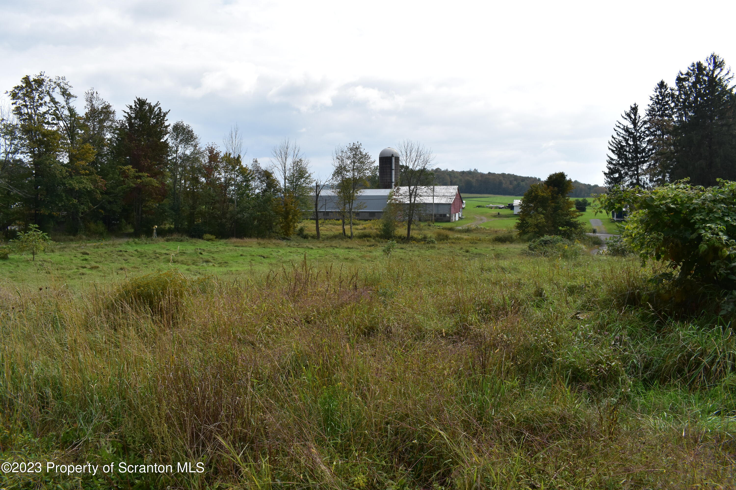Lake Street Montrose, PA 18801 - Photo 4 of 24 a view of a big yard with plants and large trees