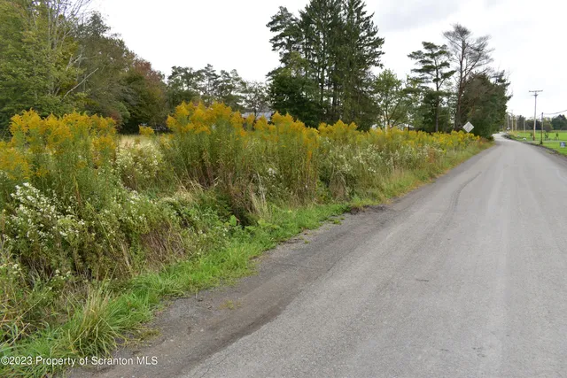 a view of a road with a yard