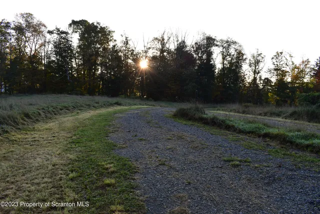 a view of a yard with trees in the background