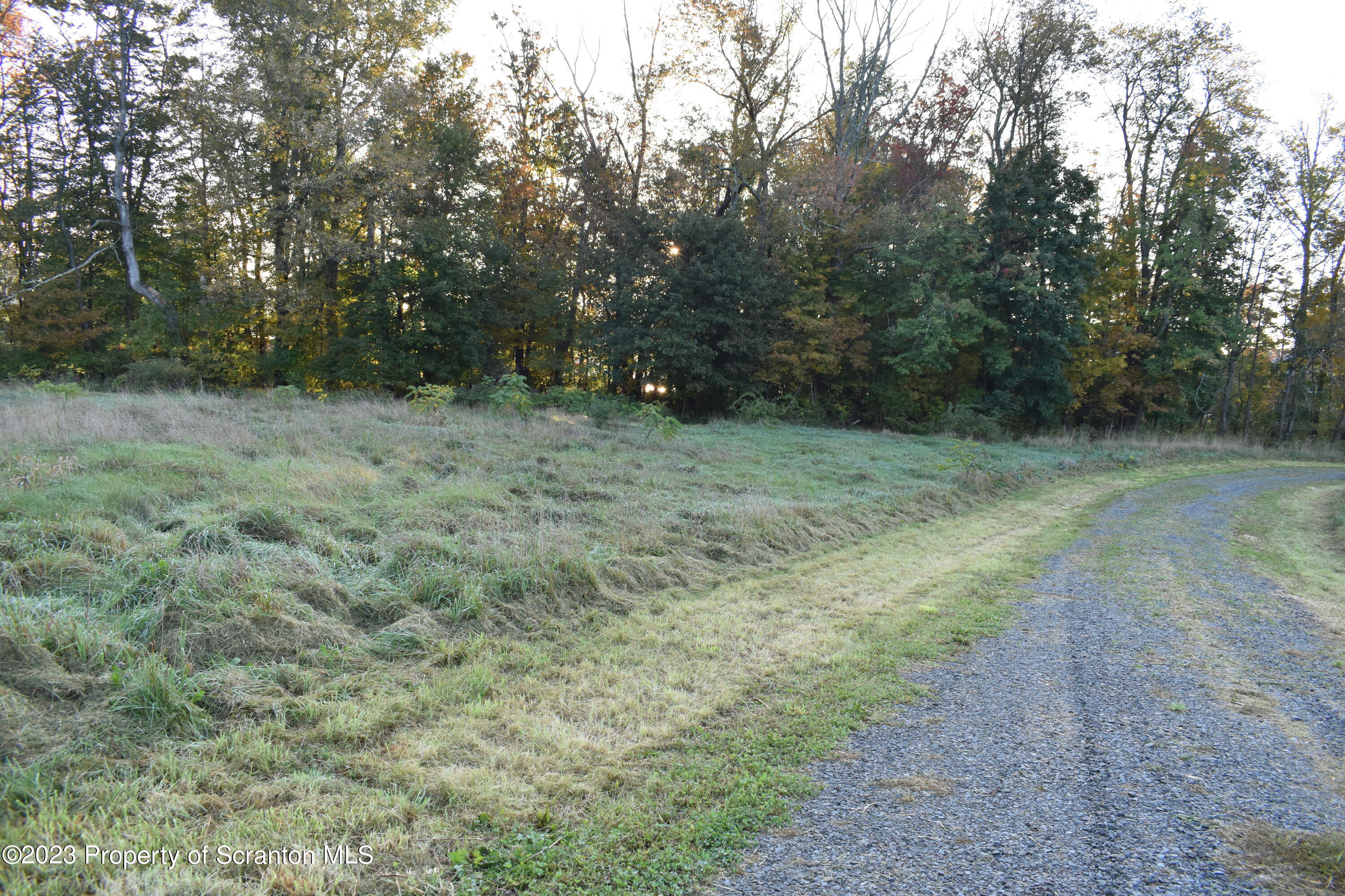Lake Street Montrose, PA 18801 - Photo 9 of 24 a view of a yard with a tree
