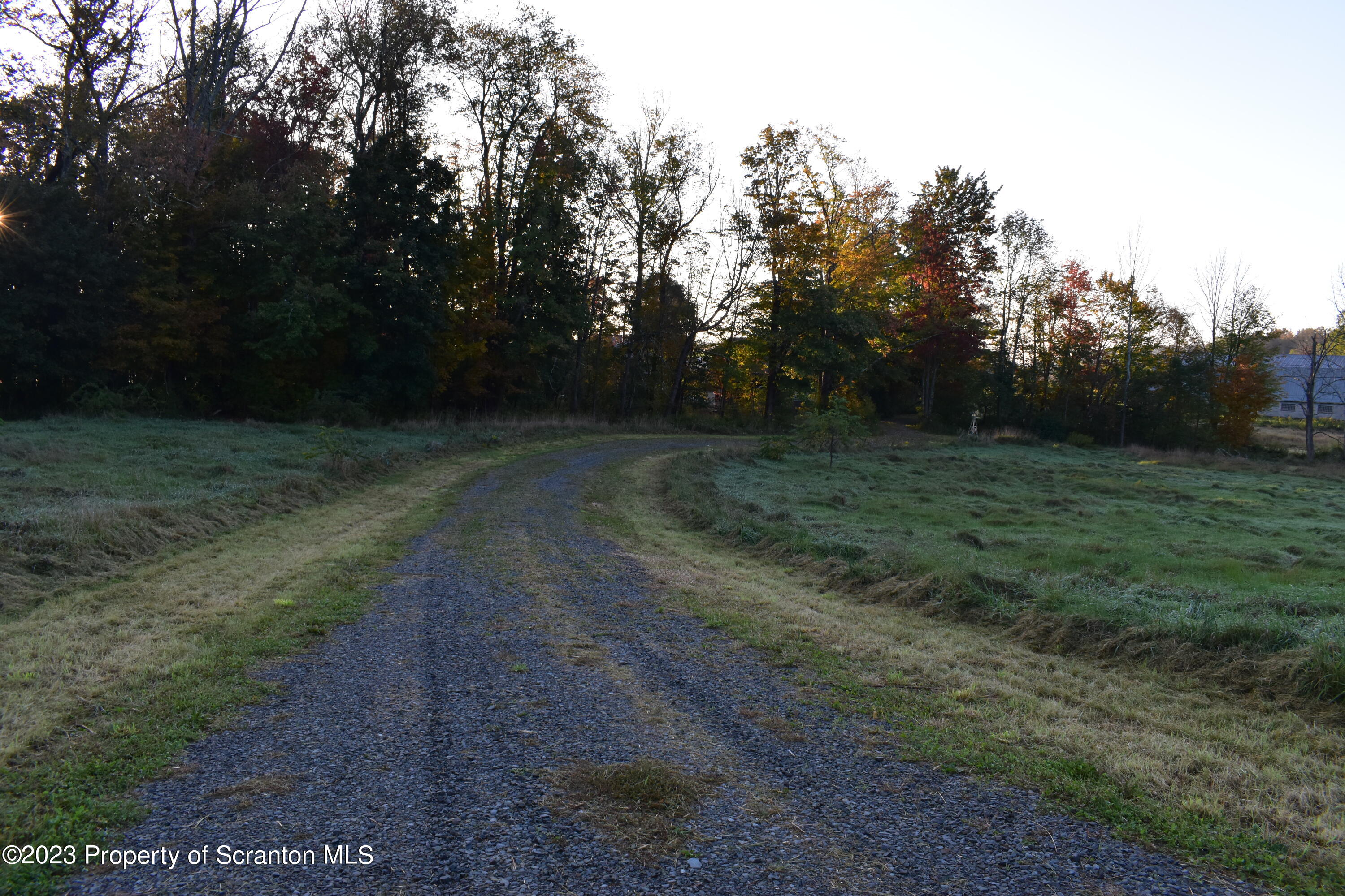 Lake Street Montrose, PA 18801 - Photo 10 of 24 a view of a yard with trees