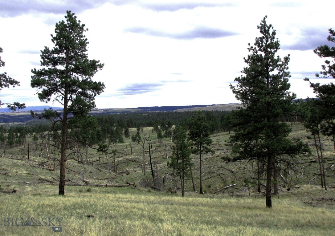 Tbd Tbd Wild Turkey Ridge Road Columbus, MT 59019 - Photo 8 of 55 Gallery Image 8