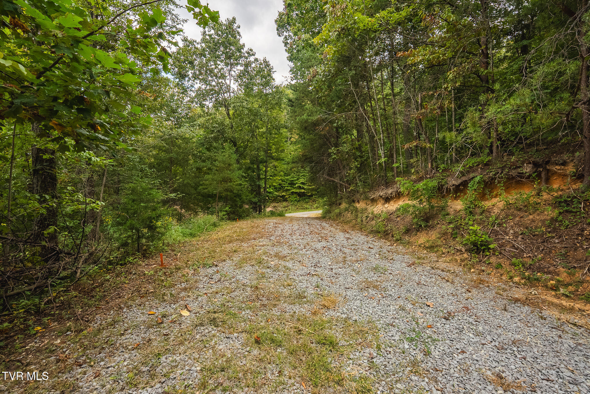 170 Fire Tower Road, Unit 4 & 5 Mooresburg, TN 37811 - Photo 13 of 31 DSC00242