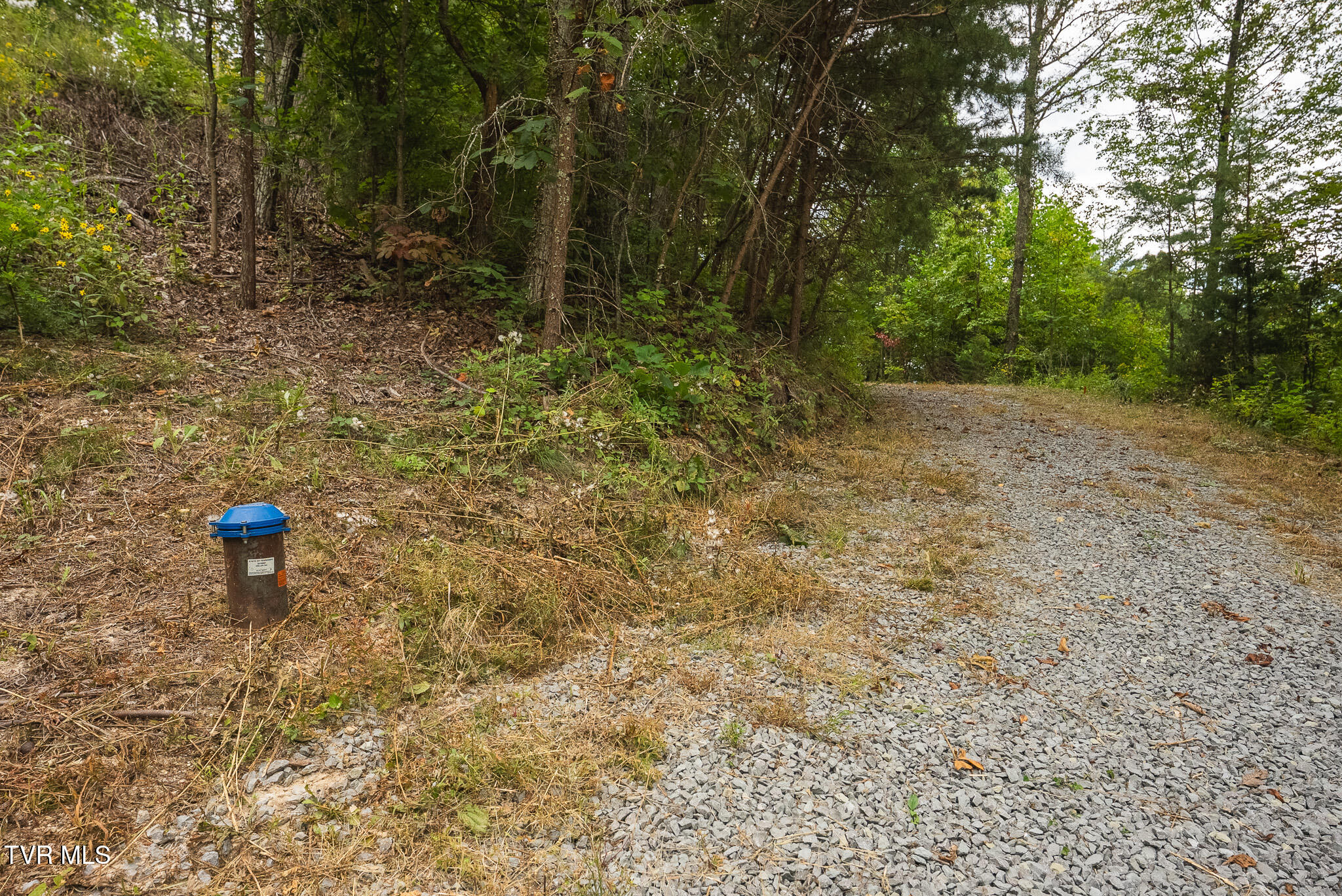 170 Fire Tower Road, Unit 4 & 5 Mooresburg, TN 37811 - Photo 15 of 31 DSC00244