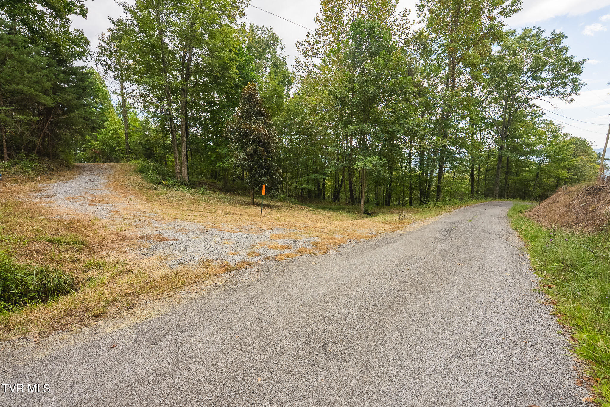 170 Fire Tower Road, Unit 4 & 5 Mooresburg, TN 37811 - Photo 16 of 31 DSC00245