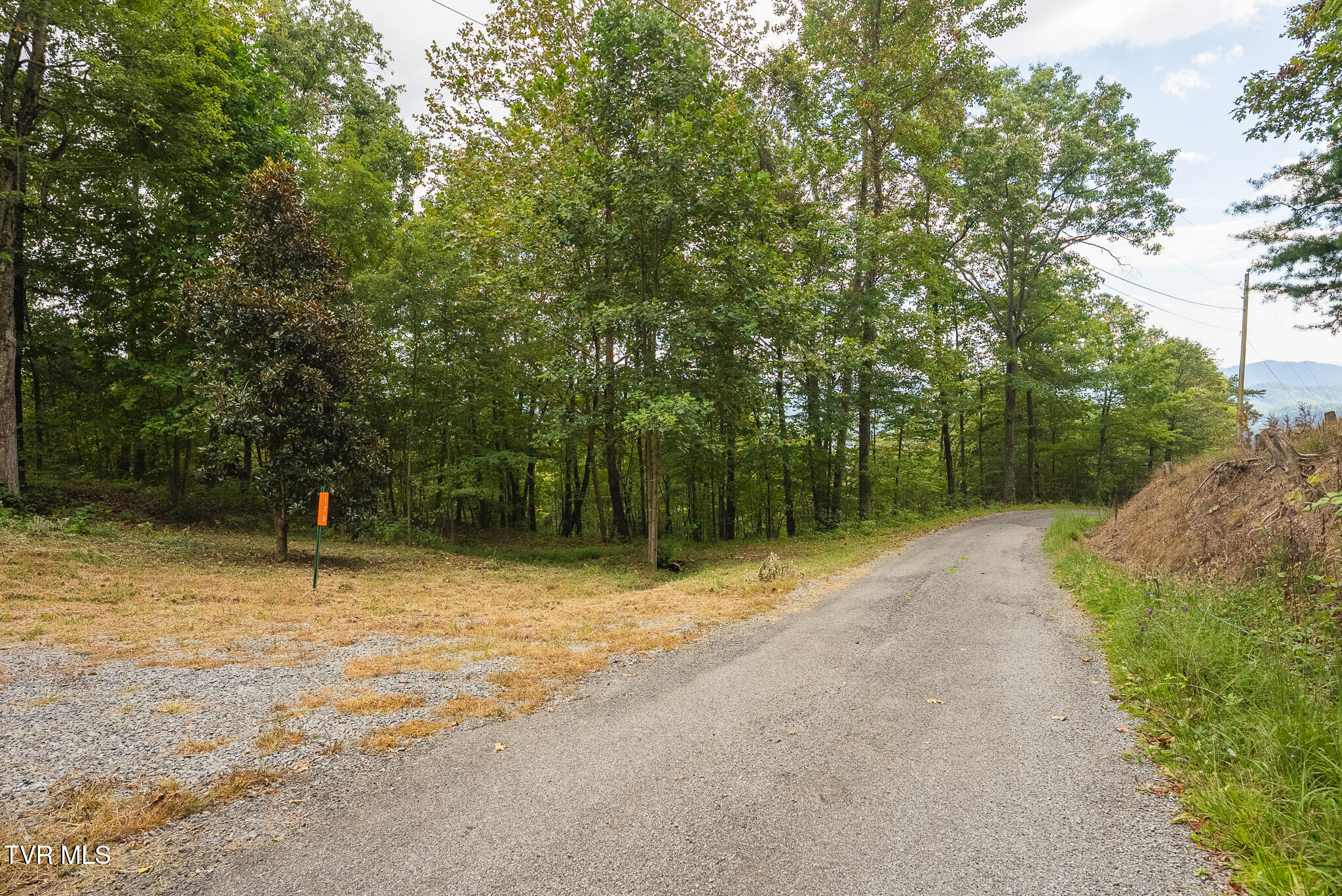 170 Fire Tower Road, Unit 4 & 5 Mooresburg, TN 37811 - Photo 17 of 31 DSC00246