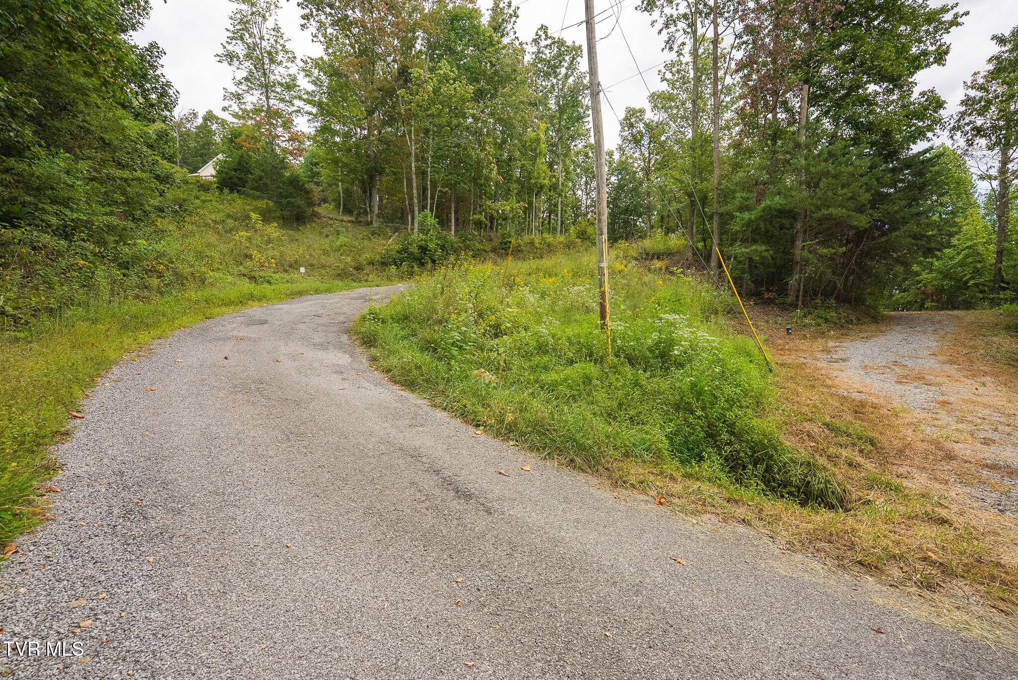 170 Fire Tower Road, Unit 4 & 5 Mooresburg, TN 37811 - Photo 18 of 31 DSC00247