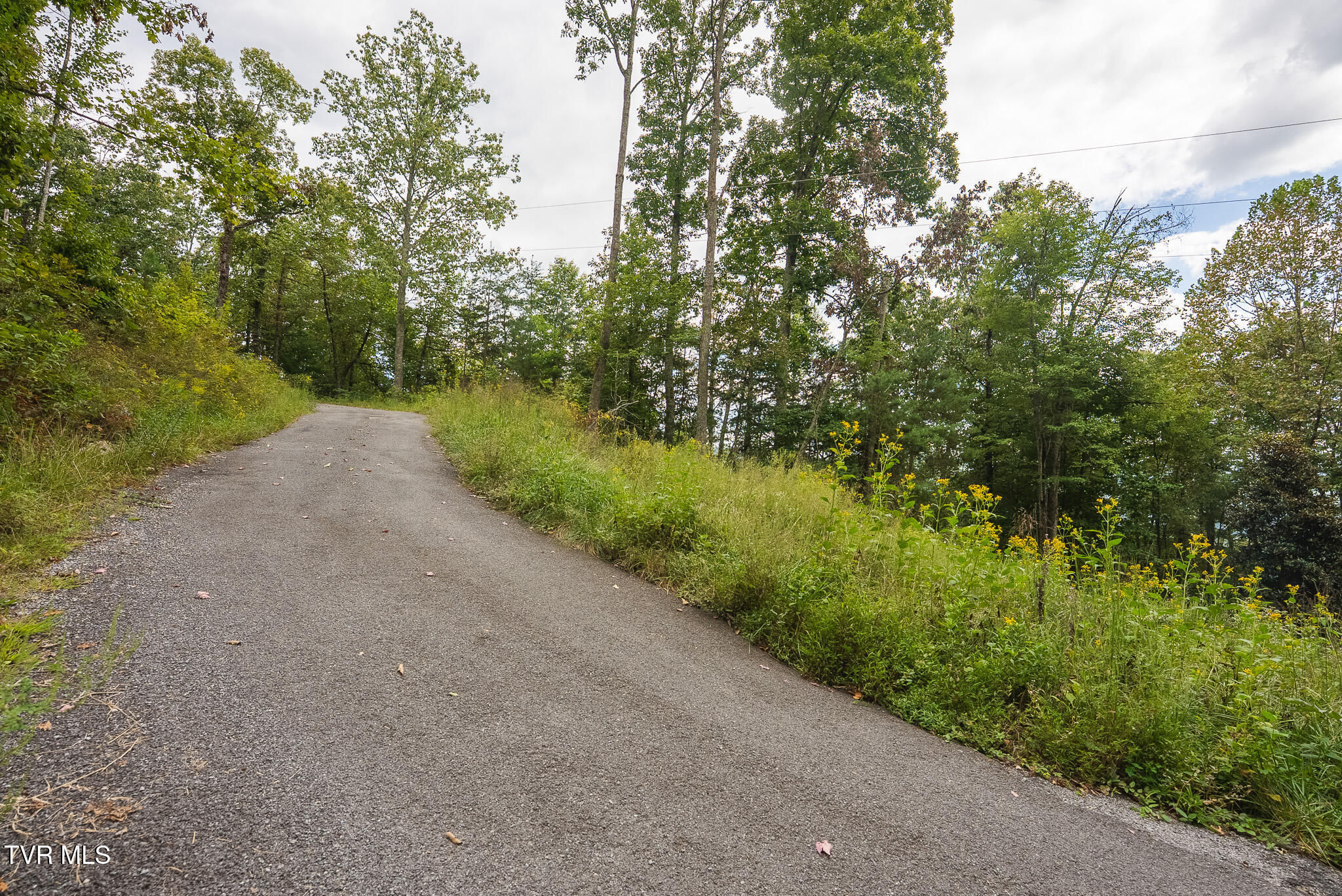 170 Fire Tower Road, Unit 4 & 5 Mooresburg, TN 37811 - Photo 19 of 31 DSC00248