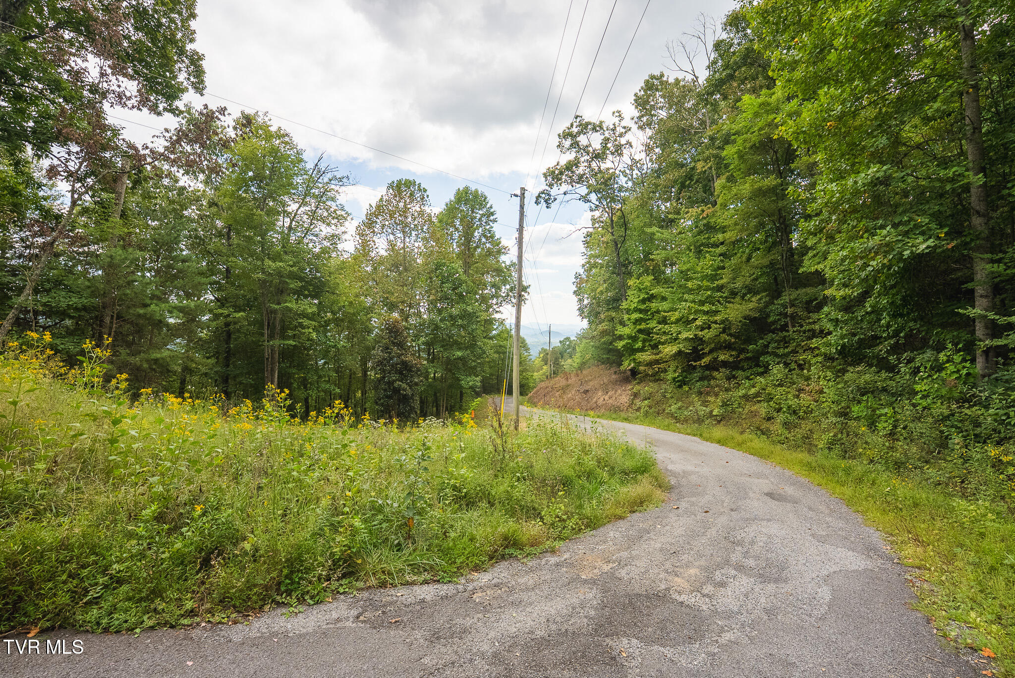170 Fire Tower Road, Unit 4 & 5 Mooresburg, TN 37811 - Photo 20 of 31 DSC00249