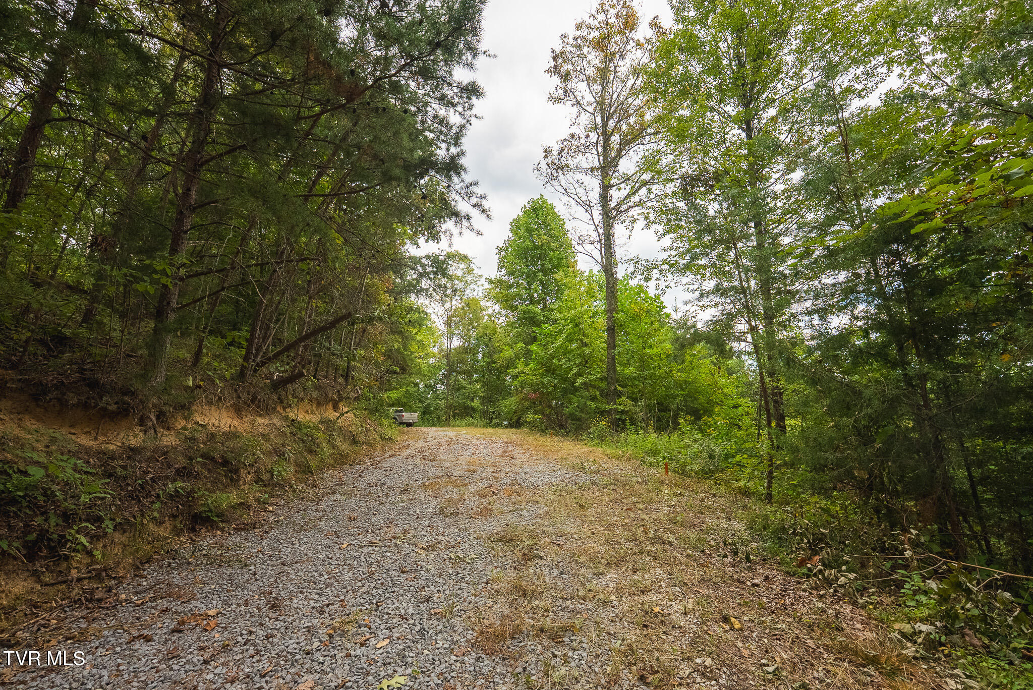 170 Fire Tower Road, Unit 4 & 5 Mooresburg, TN 37811 - Photo 21 of 31 DSC00250