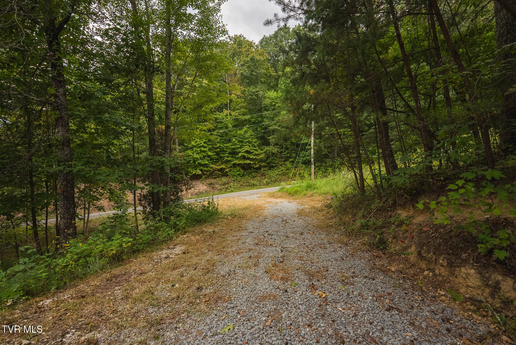 170 Fire Tower Road, Unit 4 & 5 Mooresburg, TN 37811 - Photo 22 of 31 DSC00251