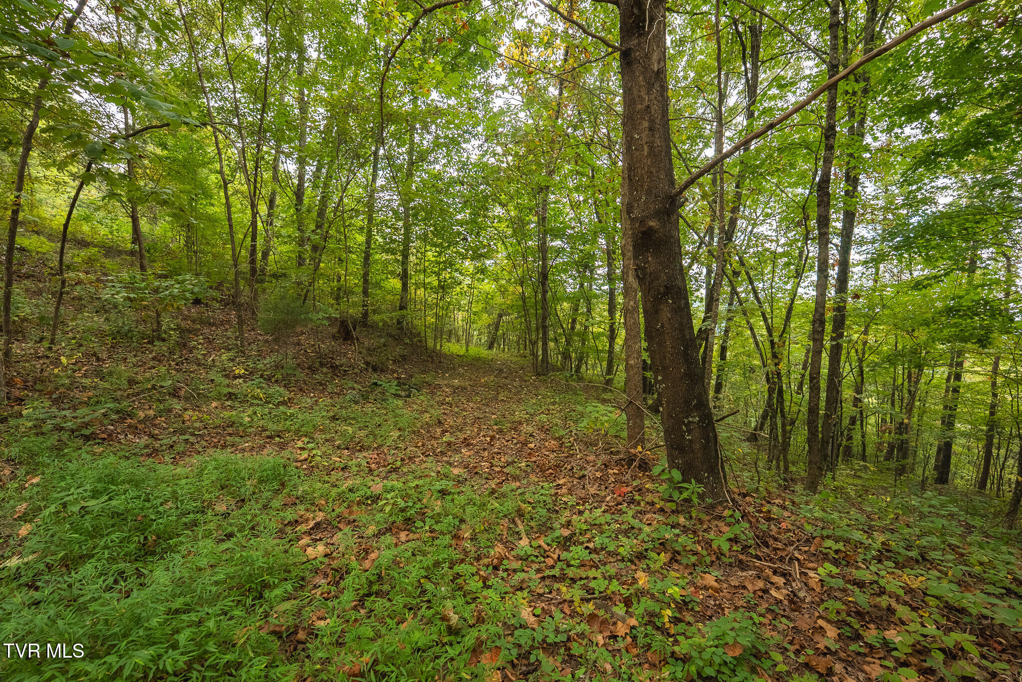 170 Fire Tower Road, Unit 4 & 5 Mooresburg, TN 37811 - Photo 23 of 31 DSC00252