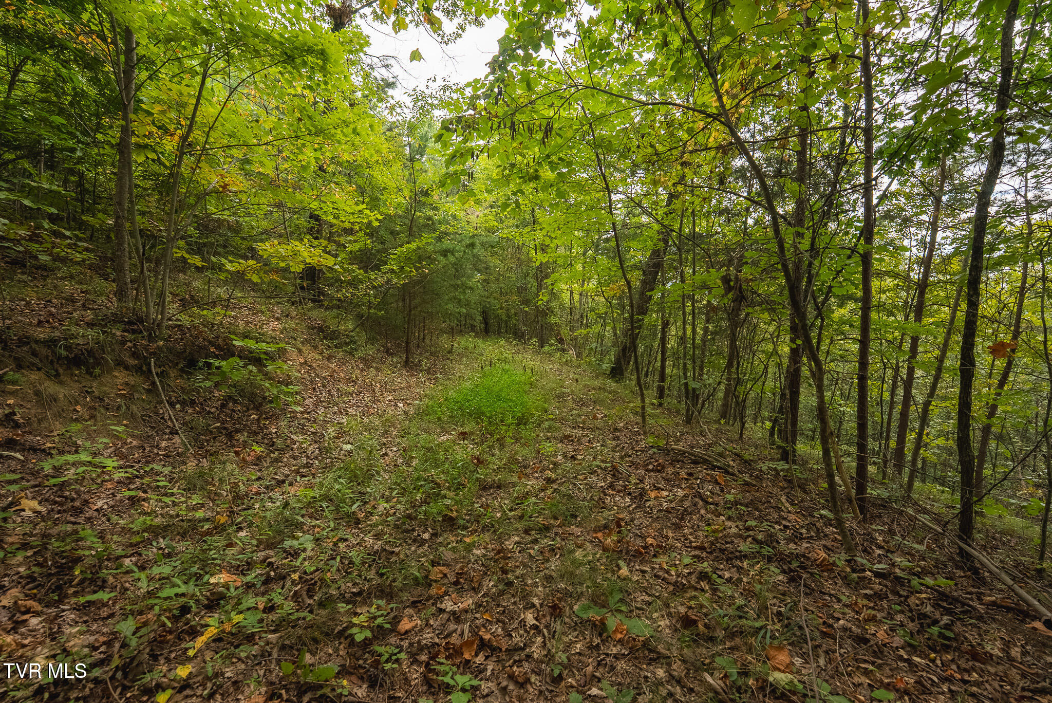 170 Fire Tower Road, Unit 4 & 5 Mooresburg, TN 37811 - Photo 25 of 31 DSC00254