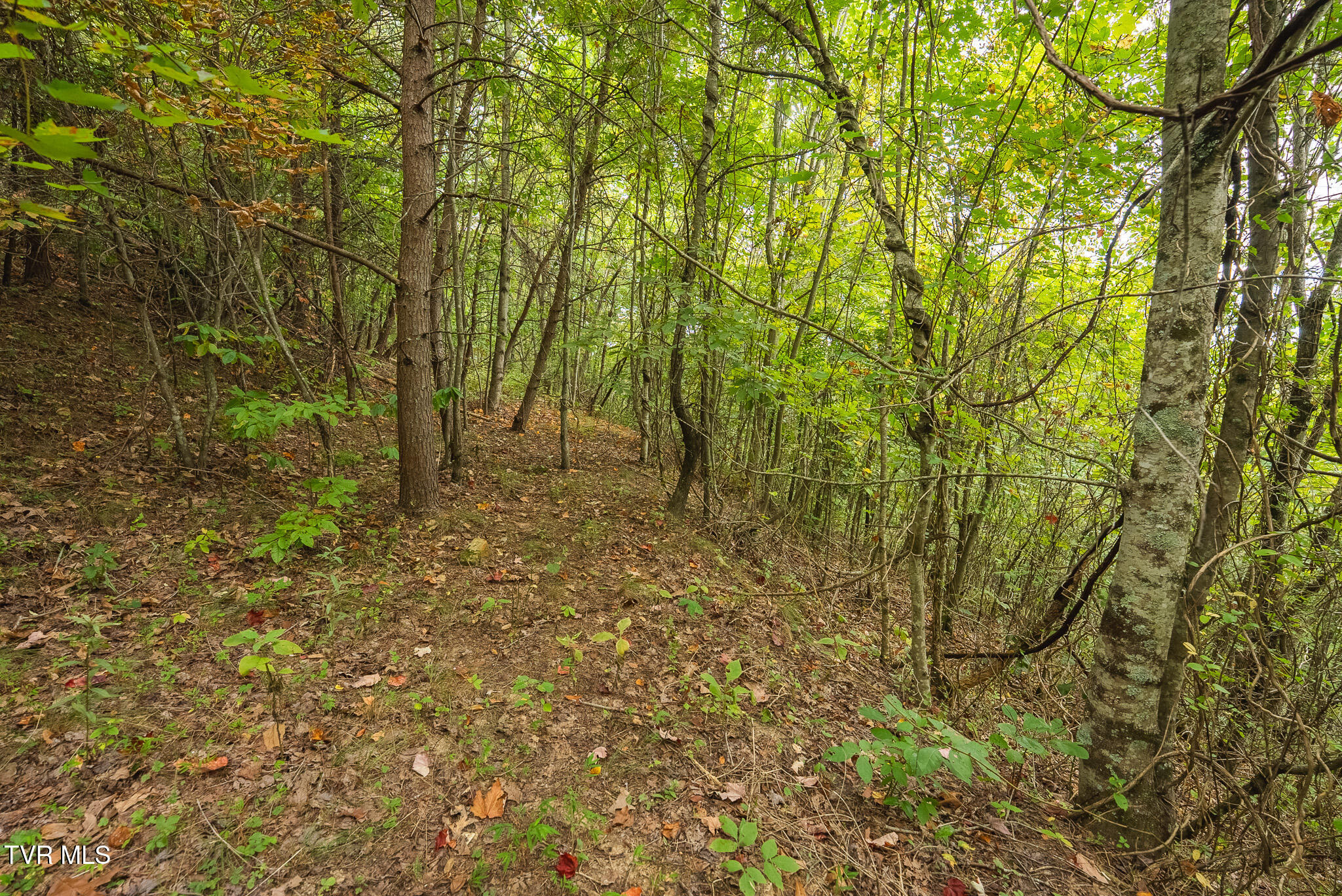 170 Fire Tower Road, Unit 4 & 5 Mooresburg, TN 37811 - Photo 28 of 31 DSC00257