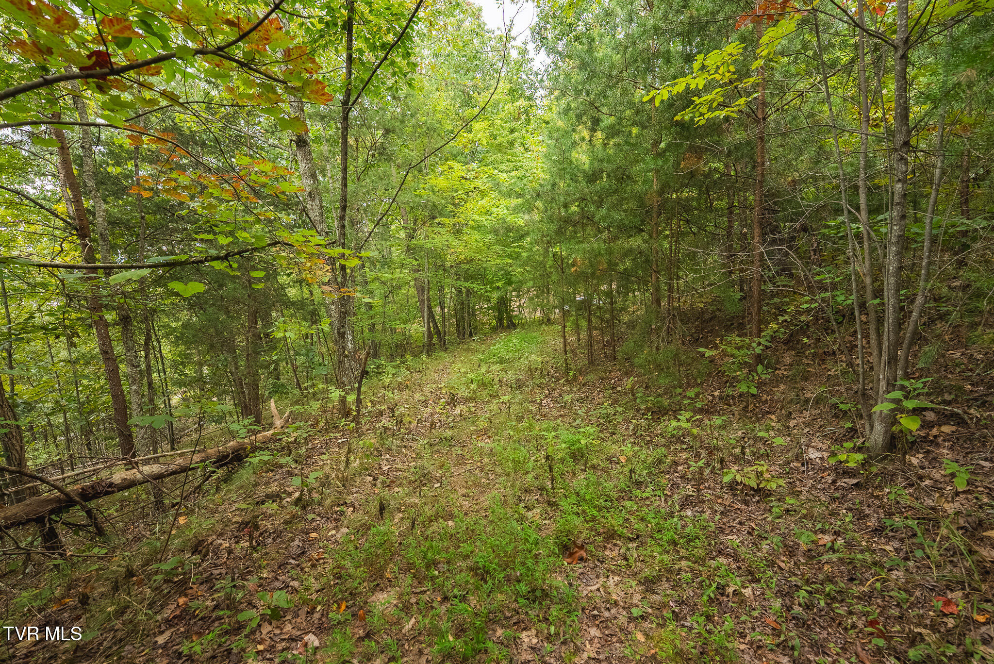 170 Fire Tower Road, Unit 4 & 5 Mooresburg, TN 37811 - Photo 29 of 31 DSC00258