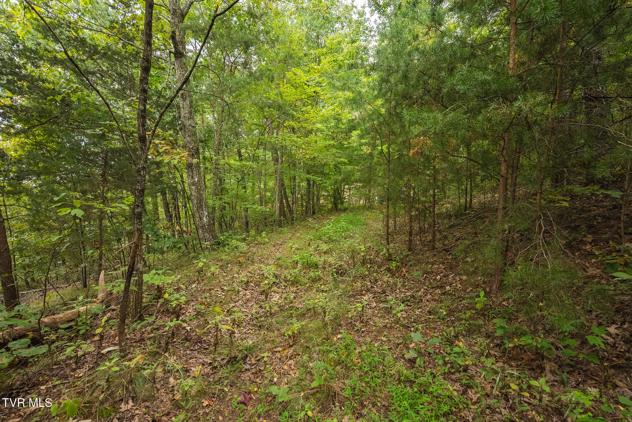 170 Fire Tower Road, Unit 4 & 5 Mooresburg, TN 37811 - Photo 30 of 31 DSC00259