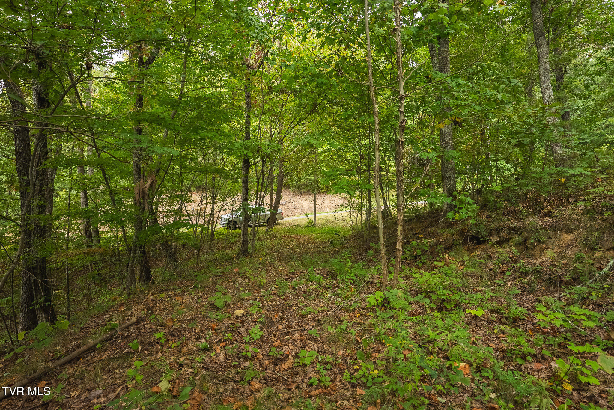 170 Fire Tower Road, Unit 4 & 5 Mooresburg, TN 37811 - Photo 31 of 31 DSC00260