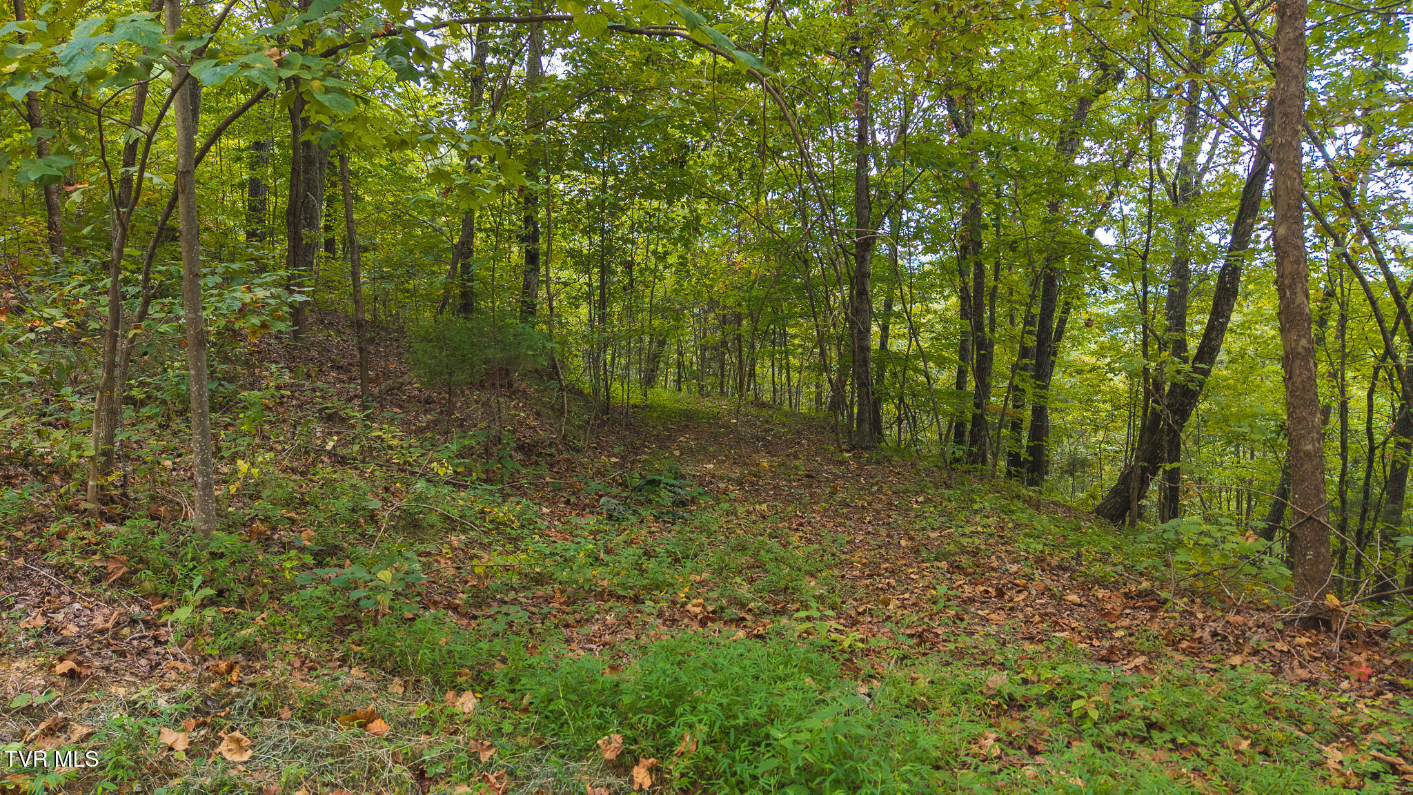 170 Fire Tower Road, Unit 4 & 5 Mooresburg, TN 37811 - Photo 4 of 31 DJI_20250917155041_0312_D