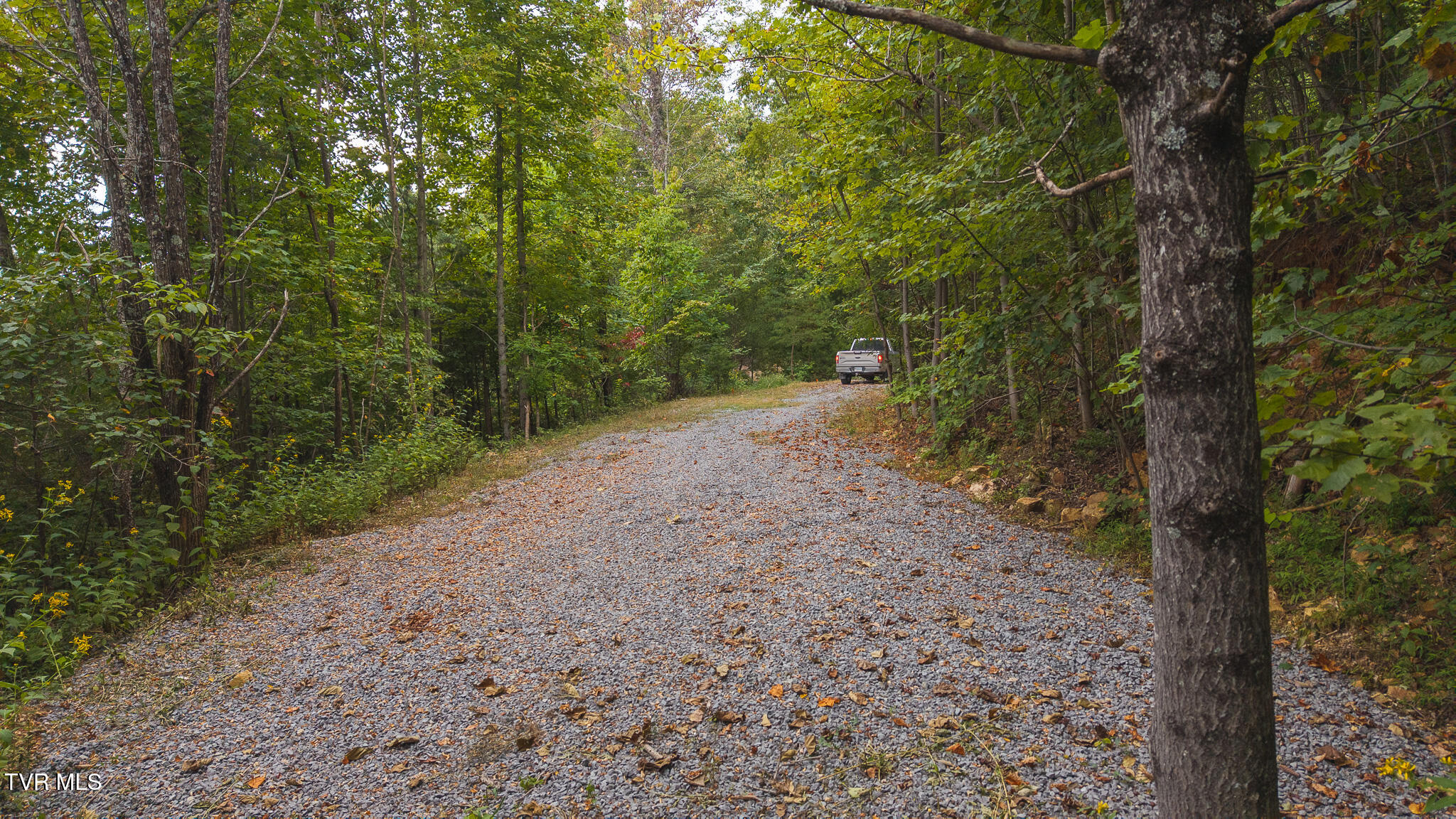 170 Fire Tower Road, Unit 4 & 5 Mooresburg, TN 37811 - Photo 9 of 31 DJI_20250917160228_0337_D