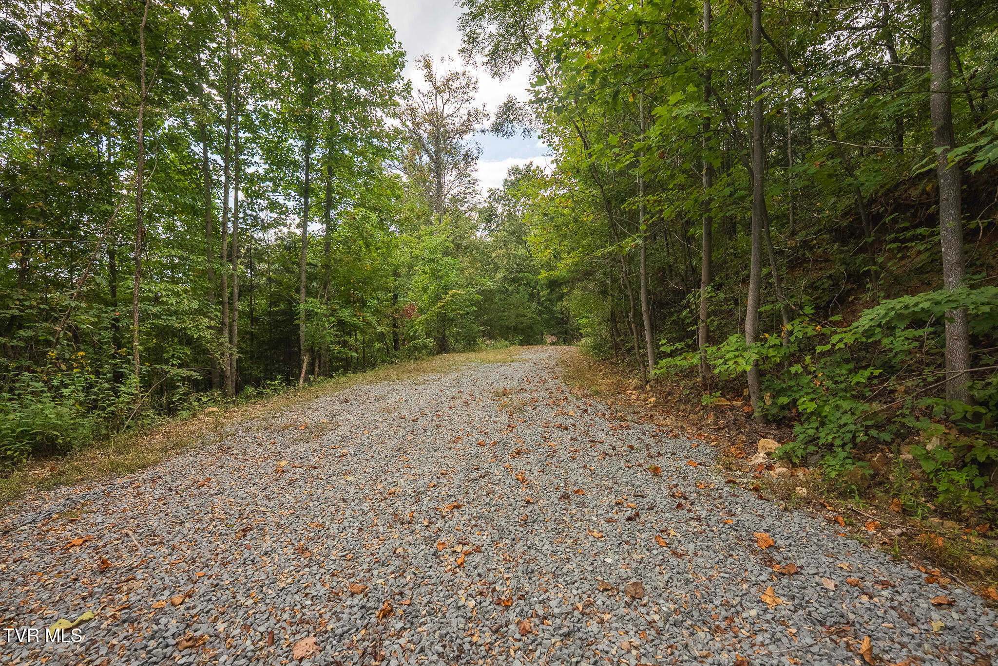 170 Fire Tower Road, Unit 4 & 5 Mooresburg, TN 37811 - Photo 10 of 31 DSC00239