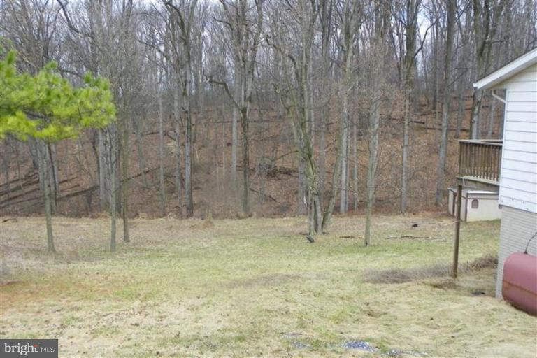 1228 Cherrytown Road Westminster, MD 21158 - Photo 14 of 20 Back yard