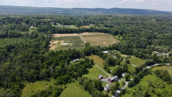 an aerial view of green landscape with trees houses and mountain view