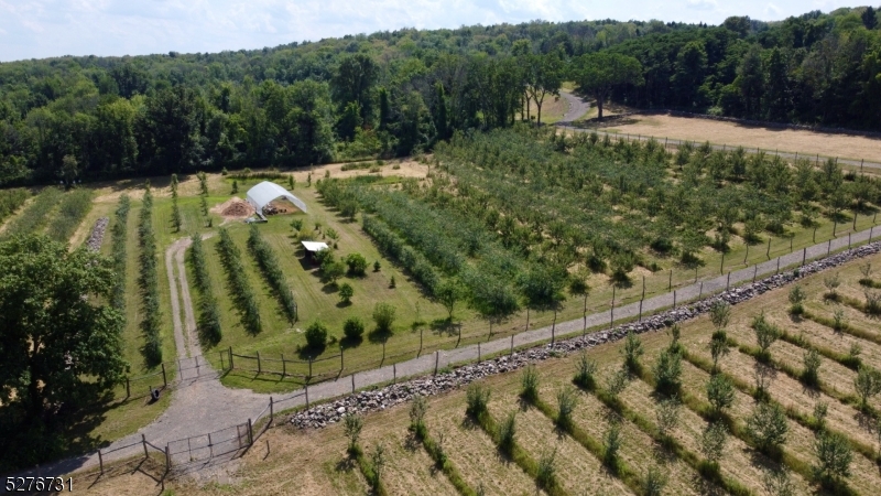 25 Clove Road Wantage, NJ 07461 - Photo 42 of 49 a view of a bunch of trees and bushes