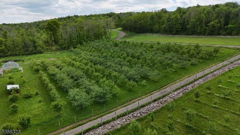 25 Clove Road Wantage, NJ 07461 - Photo 49 of 49 a view of a green field with lots of green space