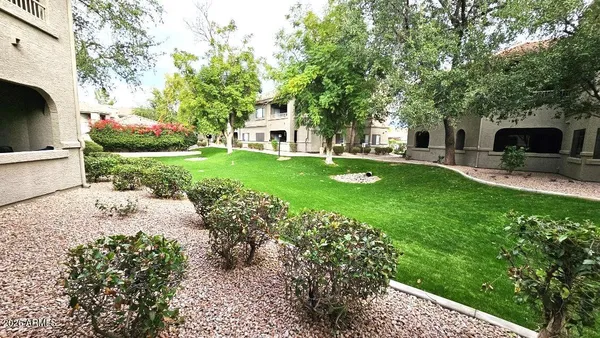 a view of a house with a backyard and a tree