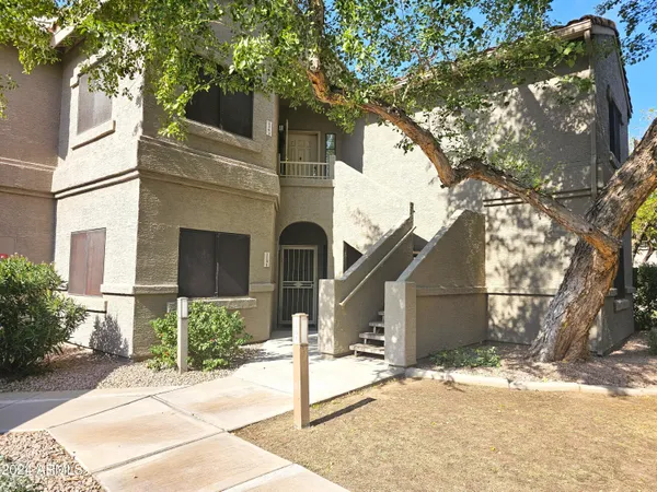 a view of a white house with a large tree