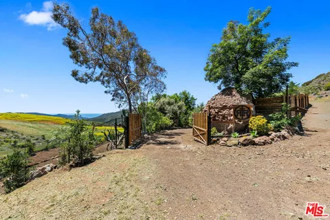 a view of a backyard with plants and a tree