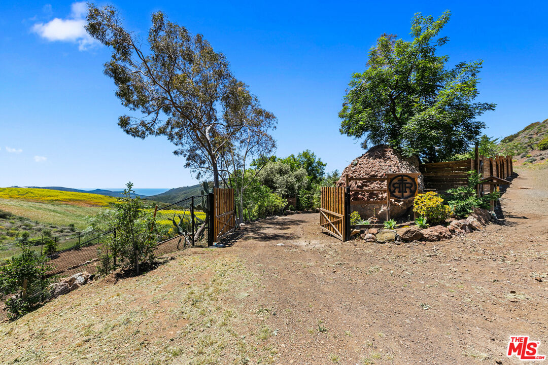 12470 Yerba Buena Road Malibu, CA 90265 - Photo 5 of 17 a view of a backyard with plants and a tree