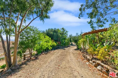 a view of a garden with a tree