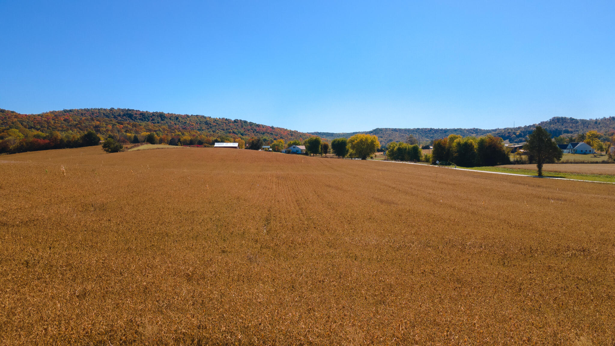 108 Ed Stamper Road Monticello, KY 42633 - Photo 56 of 72 ed stamper -09