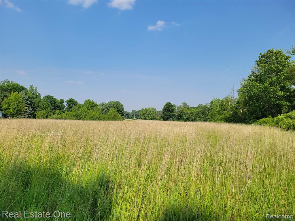 5252 Imlay City Road Attica, MI 48412 - Photo 36 of 63 Gallery Image 36