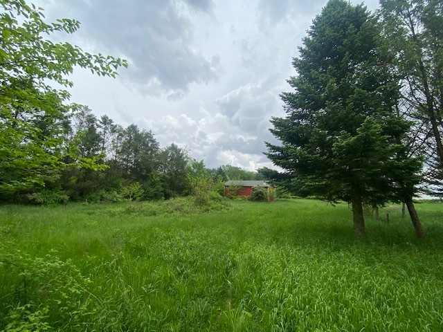 0 Capron Road Capron, IL 61012 - Photo 4 of 10 a view of green field with trees in the background