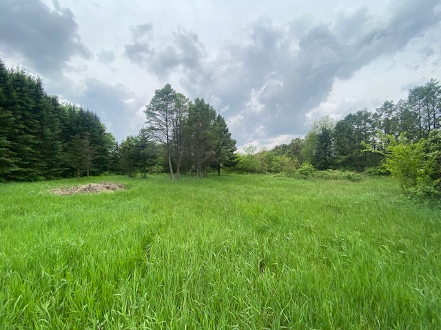 0 Capron Road Capron, IL 61012 - Photo 6 of 10 a view of a garden