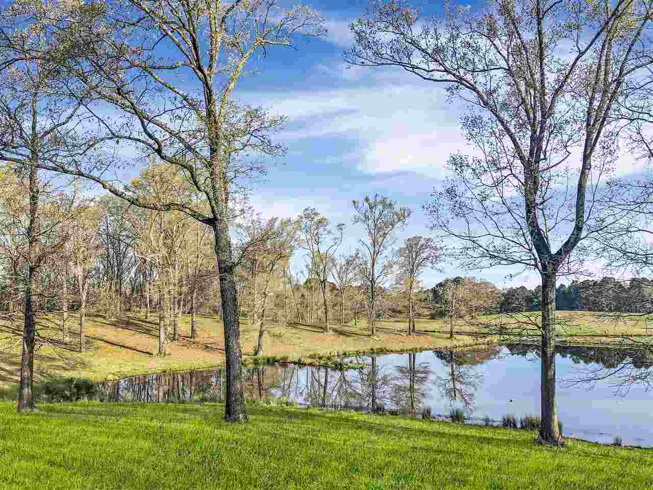 3 Tract 3 Jimmy Willia Road Clinton, MS 39056 - Photo 1 of 10 Photo 1