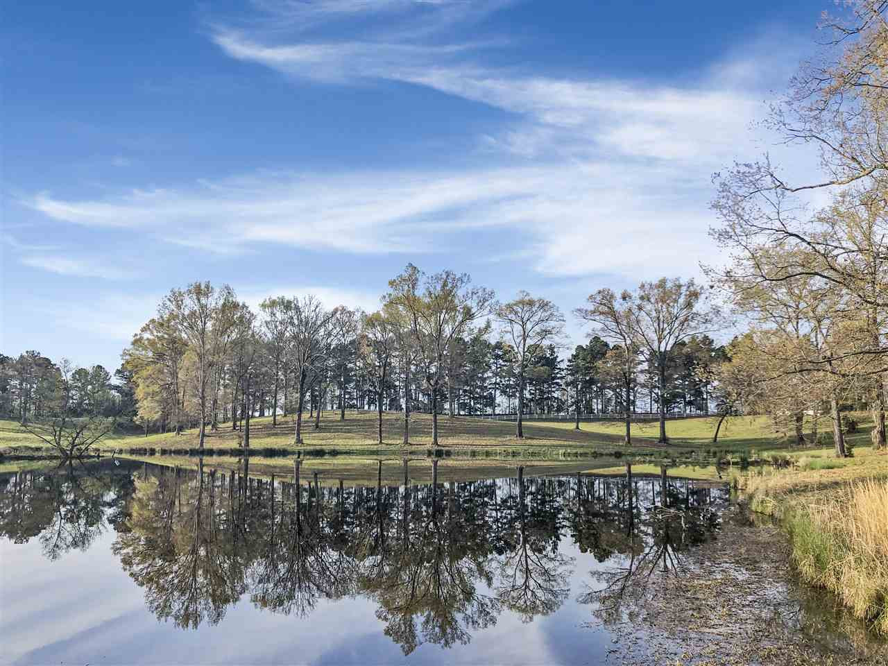 3 Tract 3 Jimmy Willia Road Clinton, MS 39056 - Photo 3 of 10 Photo 3