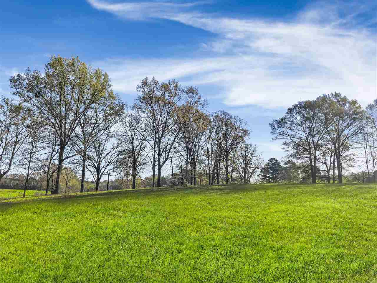 3 Tract 3 Jimmy Willia Road Clinton, MS 39056 - Photo 7 of 10 Photo 7
