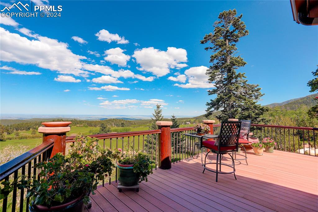 8585 Snowslide Trail Rye, CO 81069 - Photo 14 of 41 Main level deck