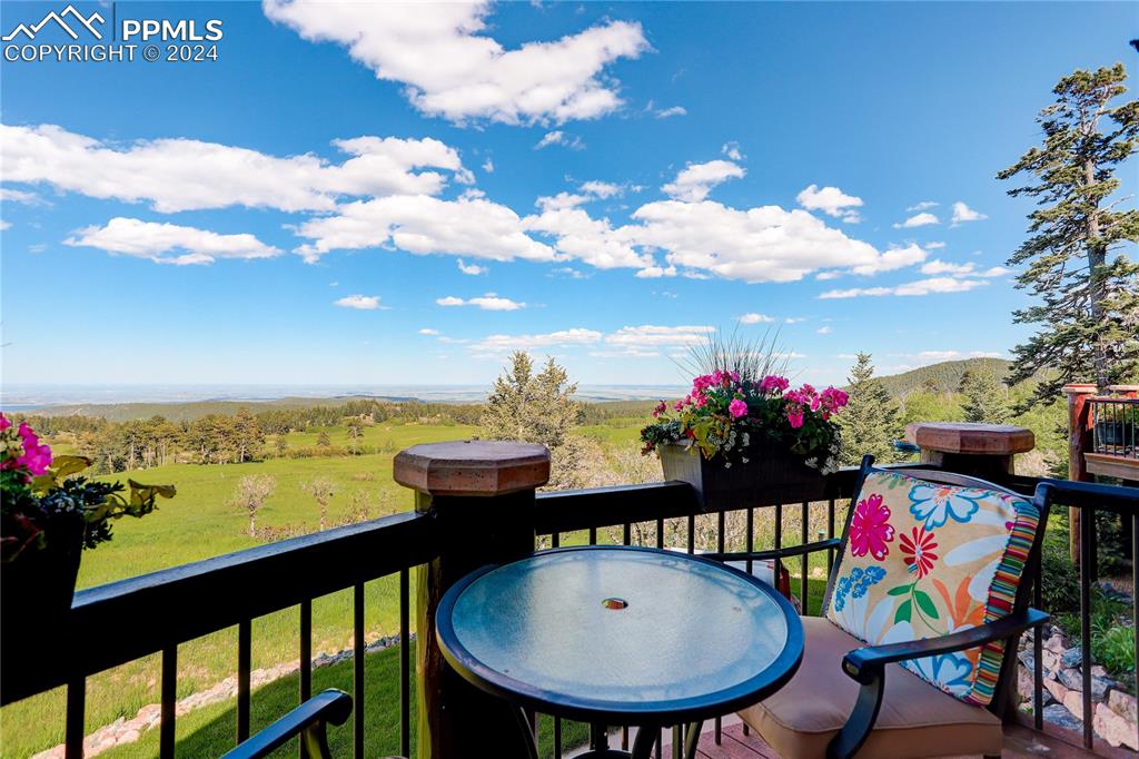 8585 Snowslide Trail Rye, CO 81069 - Photo 16 of 41 Library balcony