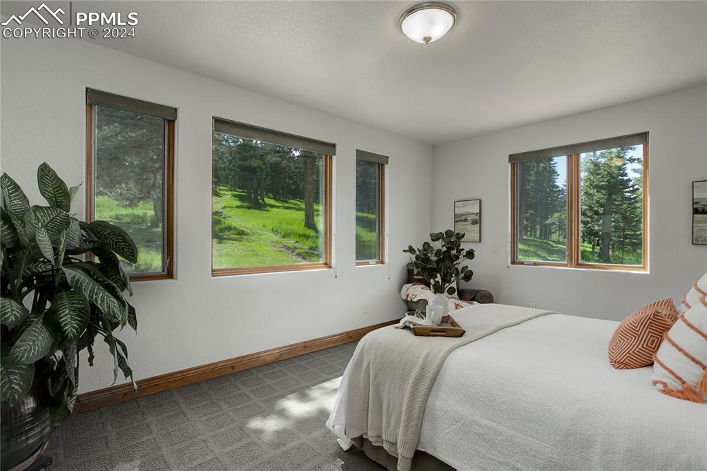 8585 Snowslide Trail Rye, CO 81069 - Photo 18 of 41 Bedroom 2 - main level