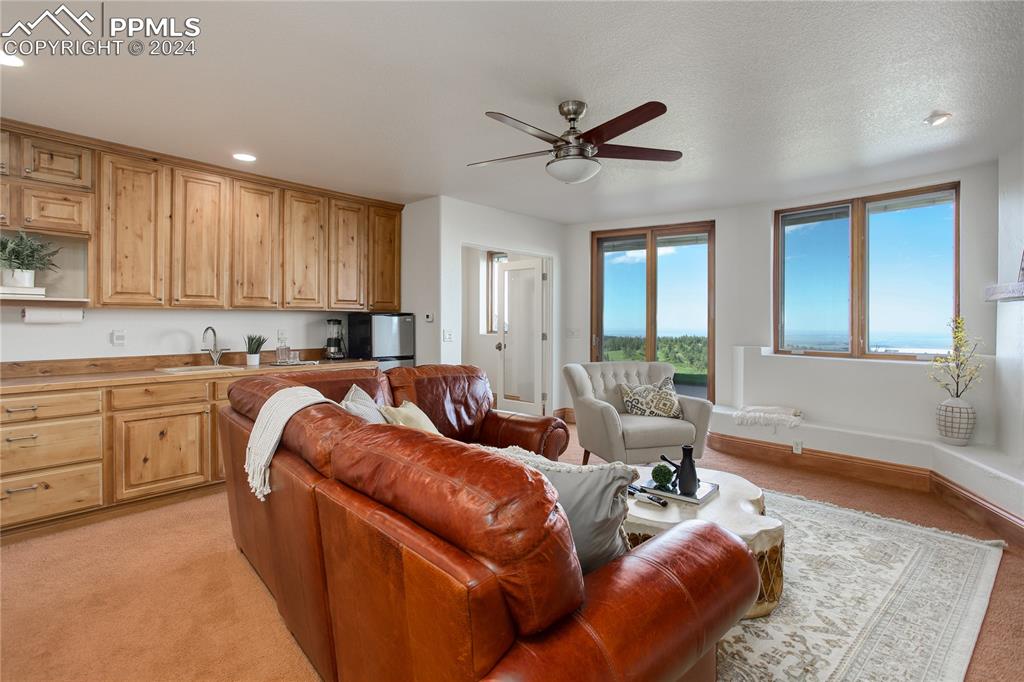 8585 Snowslide Trail Rye, CO 81069 - Photo 27 of 41 Walk-out family room with wet bar