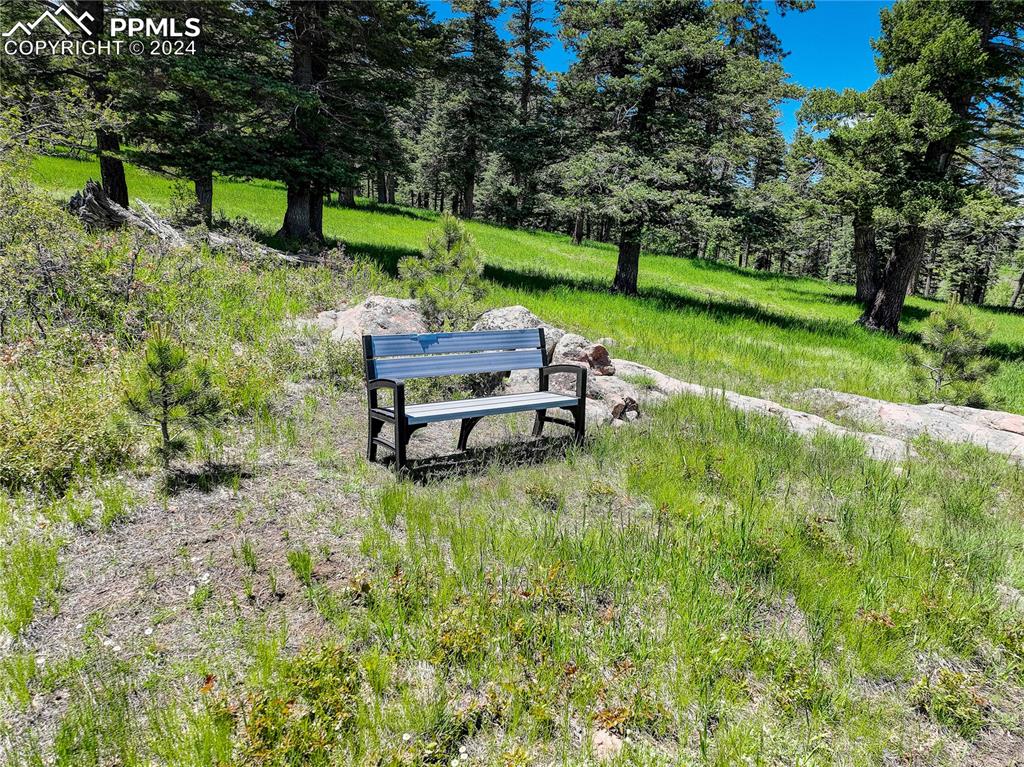 8585 Snowslide Trail Rye, CO 81069 - Photo 37 of 41 Wonderful walking trails