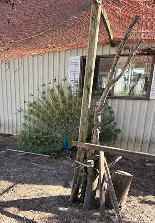 a view of balcony with two chairs and a table
