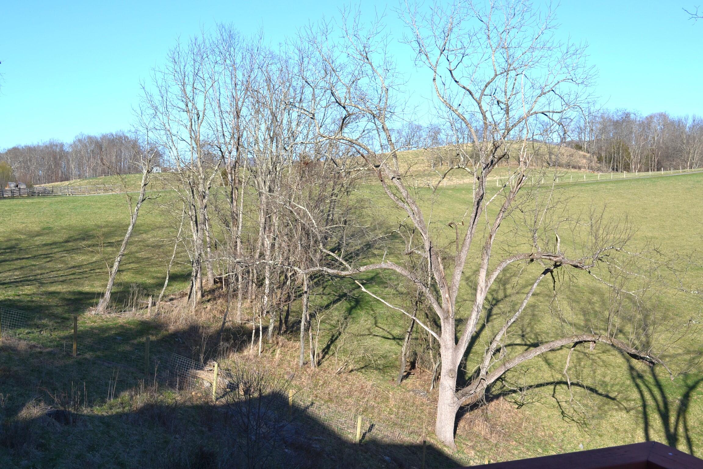 508 Lewis Road Ronceverte, WV 24970 - Photo 11 of 42 Gallery Image 11