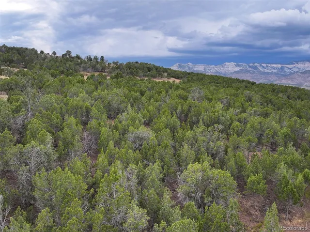 a view of a city with lush green forest